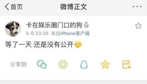 吃瓜网站爆料最近,神秘事件背后真相揭秘