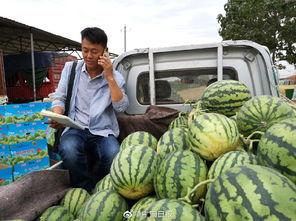 网红吃瓜入口最新事件,揭秘娱乐圈最新热点事件