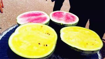 qq吃瓜爆料每日大瓜,揭秘今日热门大瓜事件