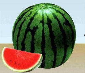 吃瓜网全部,揭秘娱乐圈幕后故事，带你领略明星真实生活